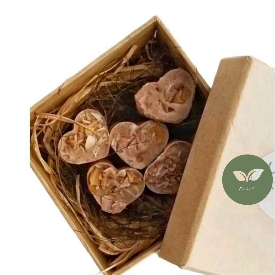 Curso de Sabonetes Terapêuticos